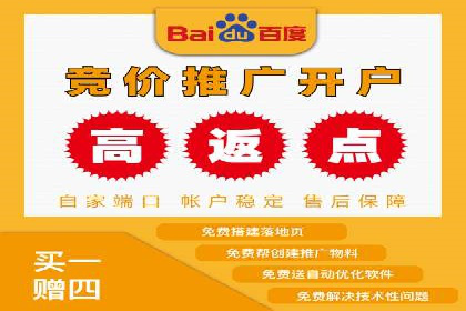 某电商平台的SEM广告投放策略及效果评估